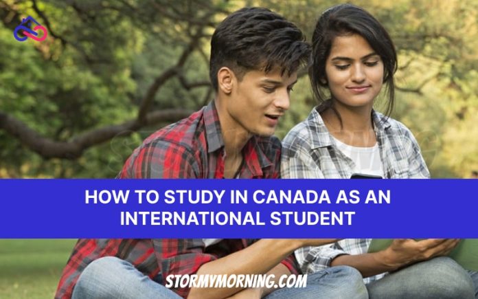 How to study in canada as an international student | Stormy Morning